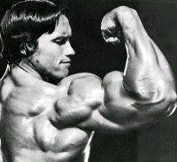 /album/galeria-de-fotos/arnoldschwarzenegger-jpg/